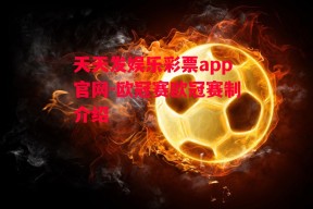 天天发娱乐彩票app官网-欧冠赛欧冠赛制介绍